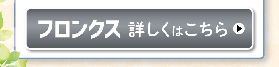 フロンクス、詳しくはこちら