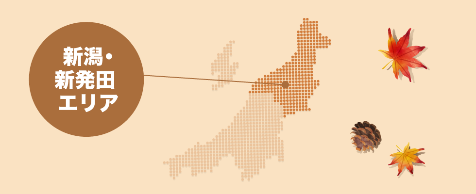 新潟・新発田 エリア